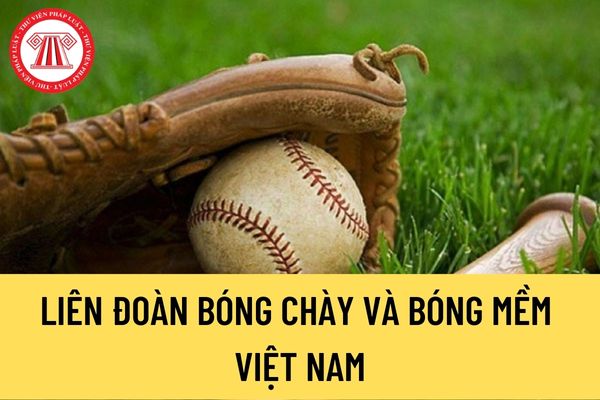 Liên đoàn Bóng chày và Bóng mềm Việt Nam