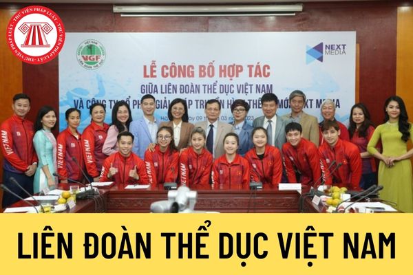 Liên đoàn Thể dục Việt Nam