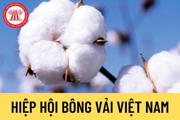 Hiệp hội Bông vải Việt Nam