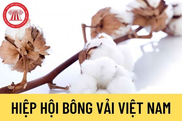 Hiệp hội Bông vải Việt Nam