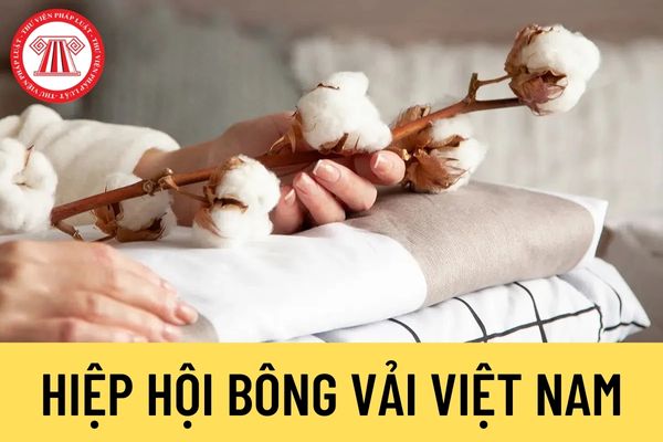 Hiệp hội Bông vải Việt Nam