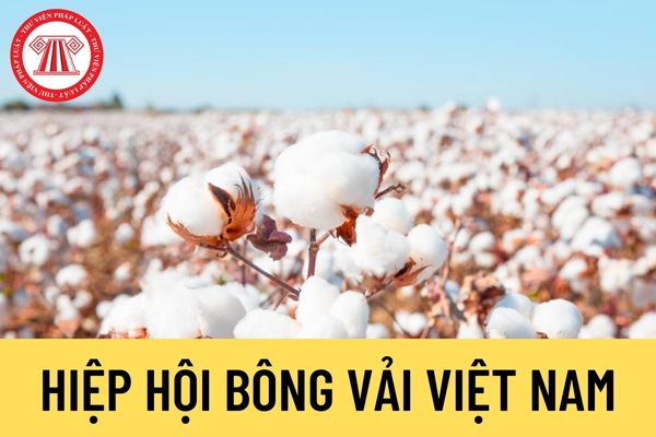 Hiệp hội Bông vải Việt Nam
