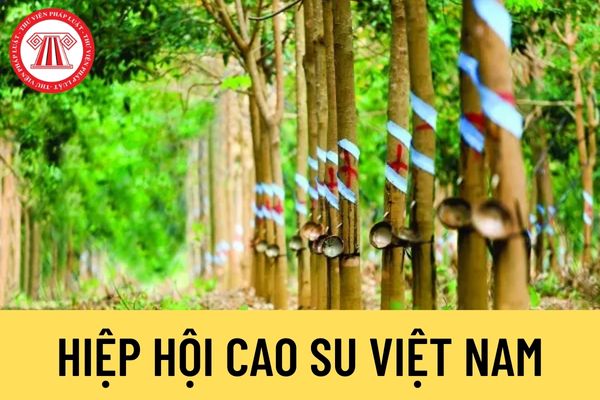 Hiệp hội Cao su Việt Nam