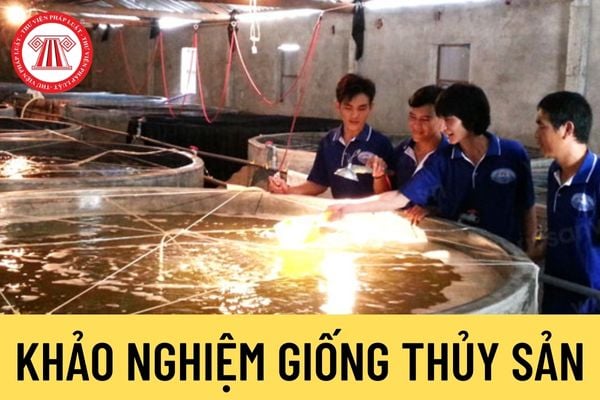 Khảo nghiệm giống thủy sản