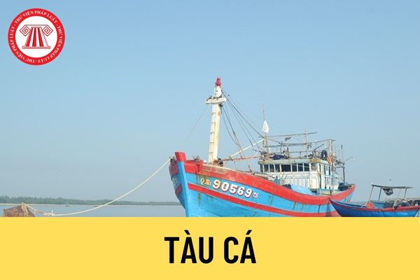 Tàu cá