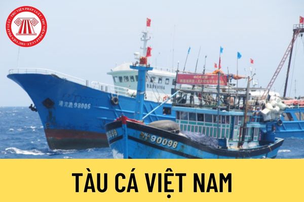 Tàu cá Việt Nam