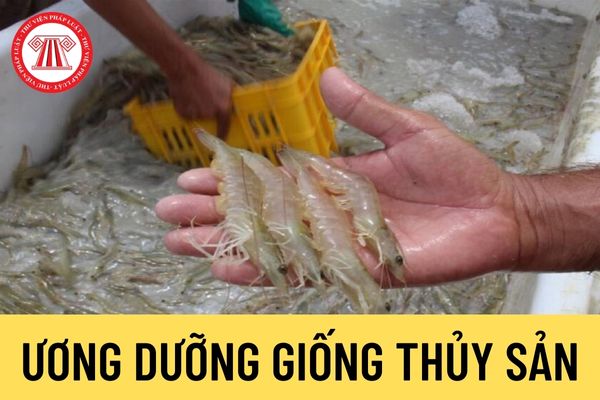 Ương dưỡng giống thủy sản