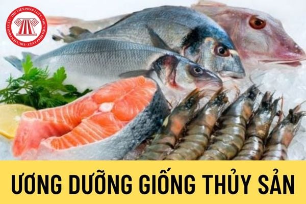 Ương dưỡng giống thủy sản