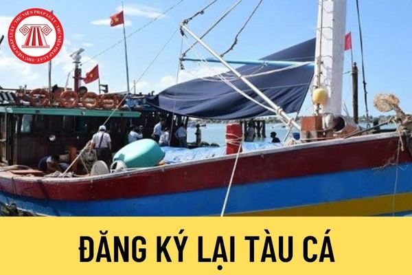 Đăng ký lại tàu cá