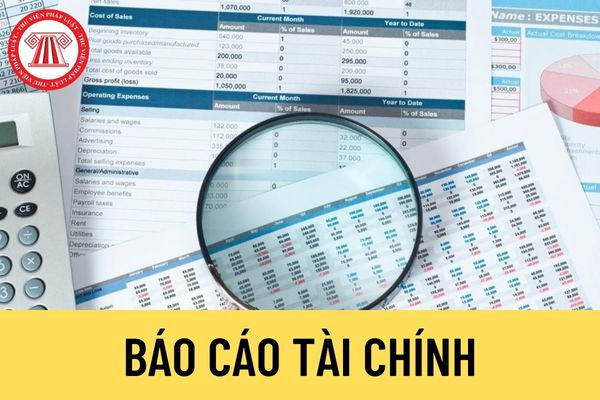 Báo cáo tài chính