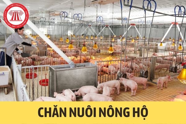 Chăn nuôi nông hộ