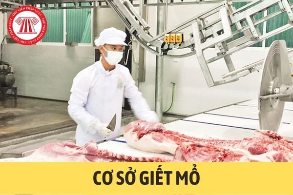 Cơ sở giết mổ