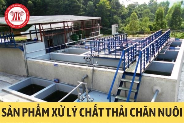 Sản phẩm xử lý chất thải chăn nuôi