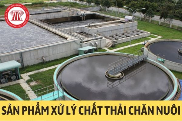 Sản phẩm xử lý chất thải chăn nuôi