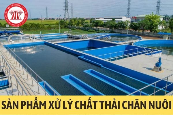 Sản phẩm xử lý chất thải chăn nuôi