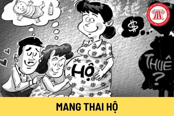 Mang thai hộ vì mục đích nhân đạo