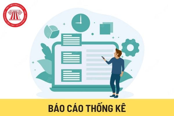 Báo cáo thống kê