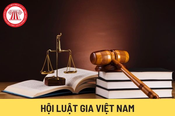 Hội Luật gia Việt Nam 