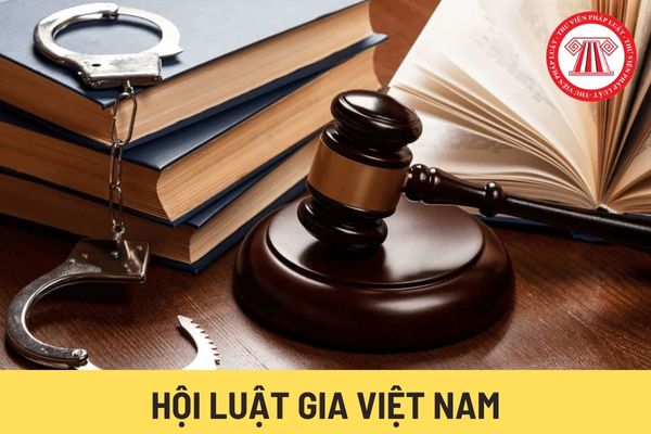  Hội Luật gia Việt Nam (Hình từ Internet)