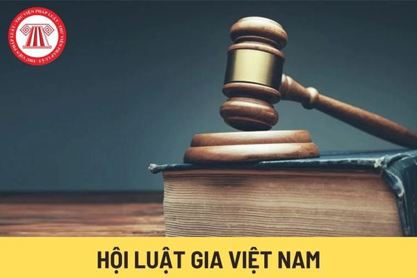 Hội Luật gia Việt Nam