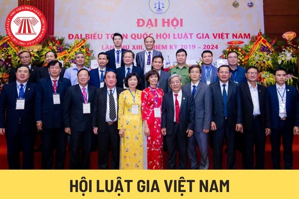 Hội Luật gia Việt Nam (Hình từ Internet)