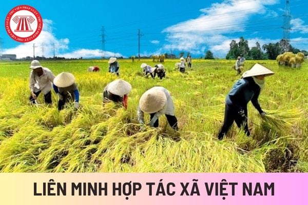 Liên minh Hợp tác xã Việt Nam (Hình từ Internet)