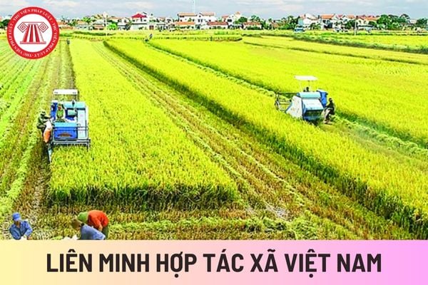 Liên minh Hợp tác xã Việt Nam (Hình từ Internet)