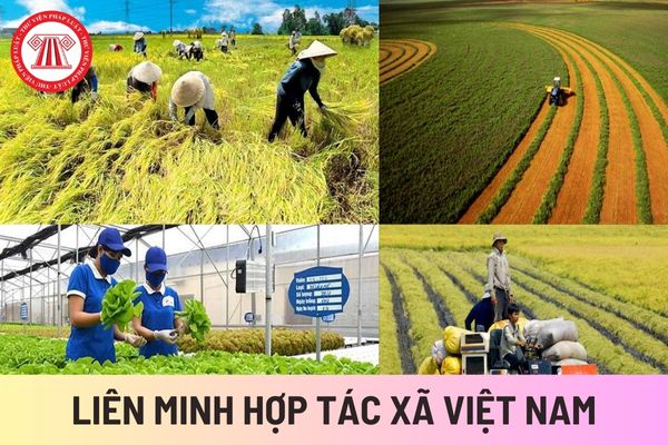 Liên minh Hợp tác xã Việt Nam (Hình từ Internet)