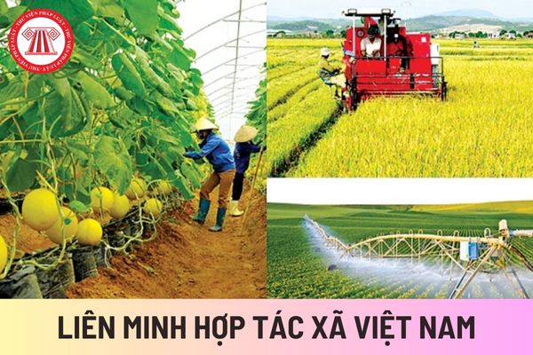 Liên minh Hợp tác xã Việt Nam (Hình từ Internet)