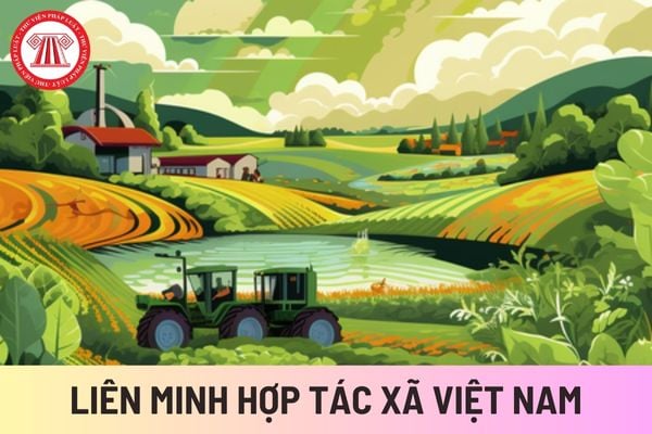 Liên minh Hợp tác xã Việt Nam (Hình từ Internet)