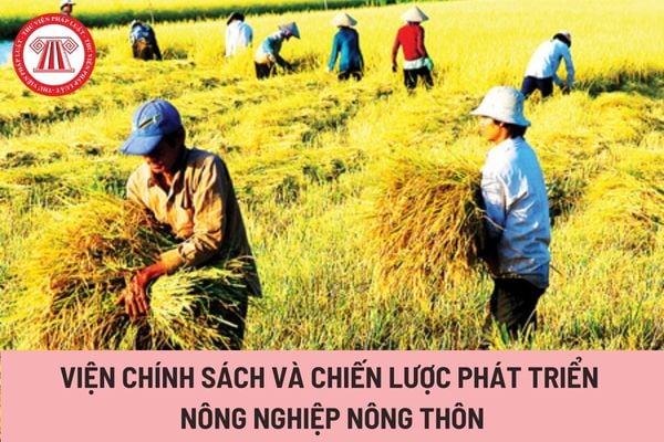 Viện Chính sách và Chiến lược phát triển nông nghiệp nông thôn (Hình từ Internet)