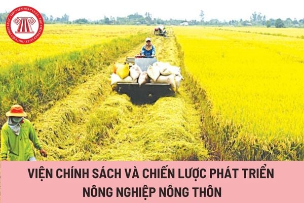 Viện Chính sách và Chiến lược phát triển nông nghiệp nông thôn (Hình từ Internet)