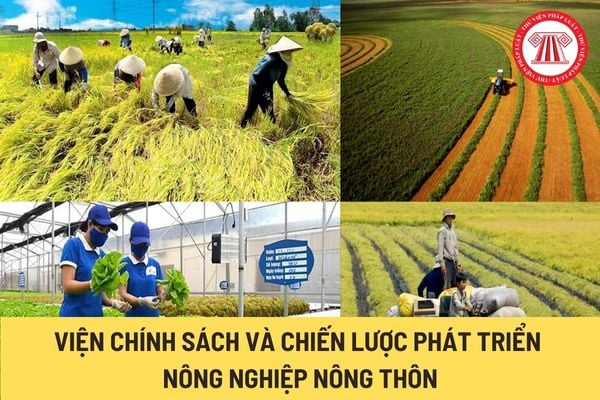 Viện Chính sách và Chiến lược phát triển nông nghiệp nông thôn (Hình từ Internet)