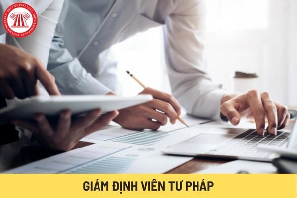 Giám định viên tư pháp (Hình từ Internet)