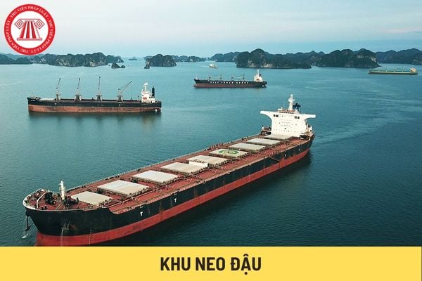 Khu neo đậu (Hình từ Internet)