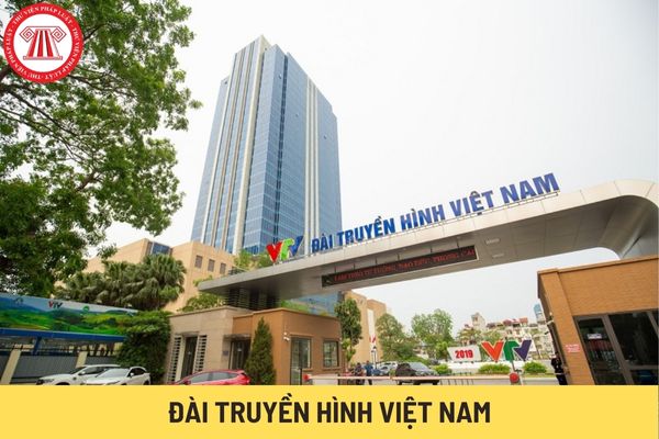 Đài Truyền hình Việt Nam (Hình từ Internet)