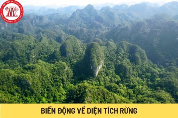 Biến động về diện tích rừng