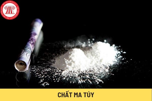 Chất ma túy