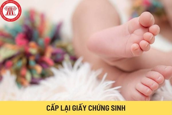 Cấp lại Giấy chứng sinh