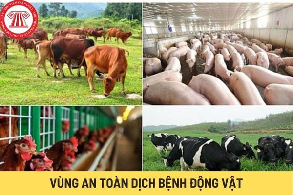 Vùng an toàn dịch bệnh động vật