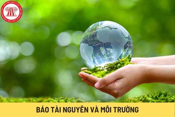 Báo Tài nguyên và Môi trường (Hình từ Internet)