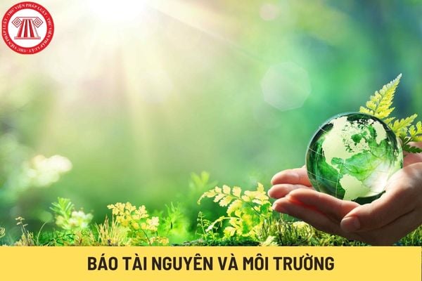 Báo Tài nguyên và Môi trường (Hình từ Internet)