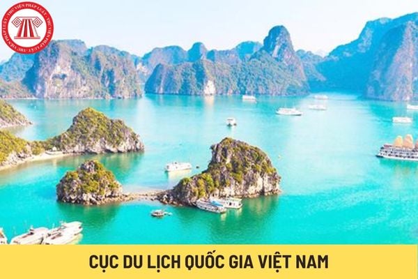 Cục Du lịch Quốc gia Việt Nam (Hình từ Internet)