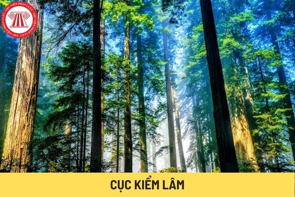 Cục Kiểm lâm (Hình từ Internet)