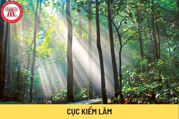 Cục Kiểm lâm (Hình từ Internet)