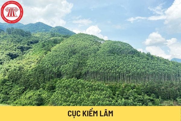 Cục Kiểm lâm (Hình từ Internet)