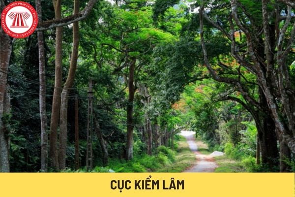 Cục Kiểm lâm (Hình từ Internet)