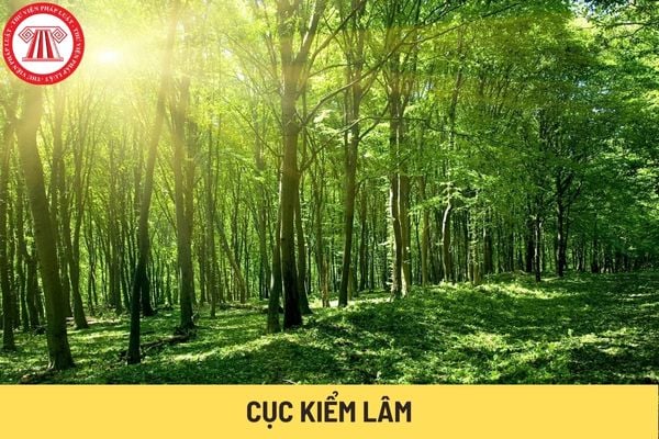 Cục Kiểm lâm (Hình từ Internet)