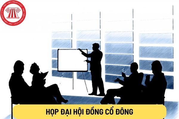 Họp Đại hội đồng cổ đông