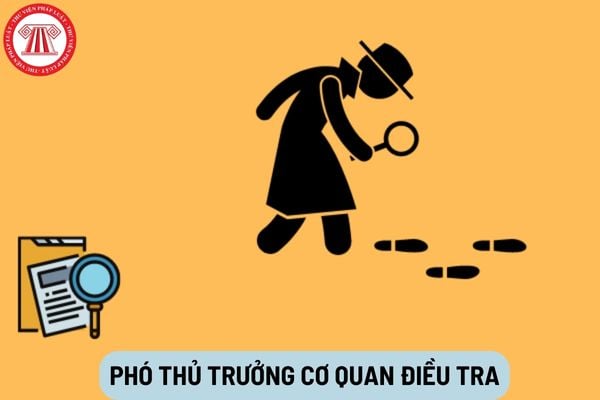 Phó Thủ trưởng cơ quan điều tra